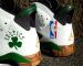 Celtkicks: Sab One’s Jordan VI parquet custom